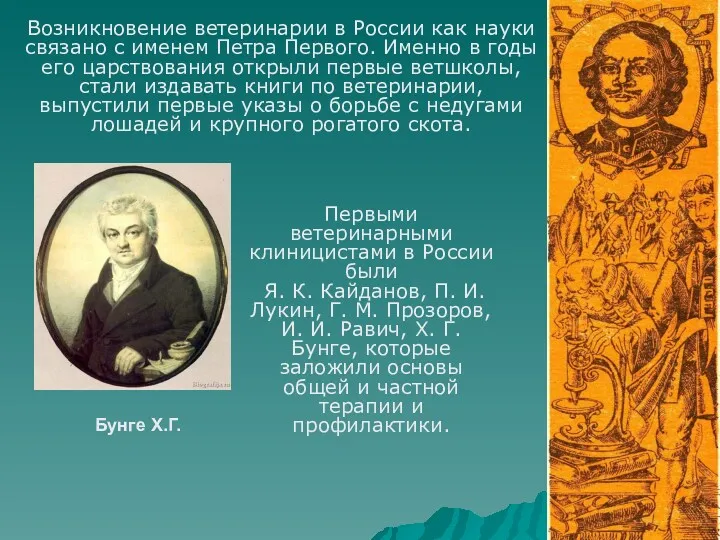 Бунге Х.Г. Возникновение ветеринарии в России как науки связано с именем Петра Первого.