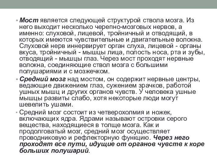 Мост является следующей структурой ствола мозга. Из него выходит несколько