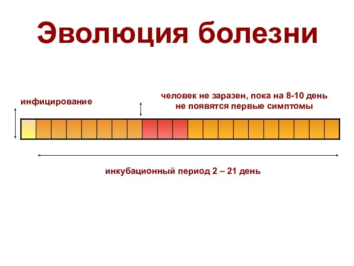 Эволюция болезни инфицирование инкубационный период 2 – 21 день человек