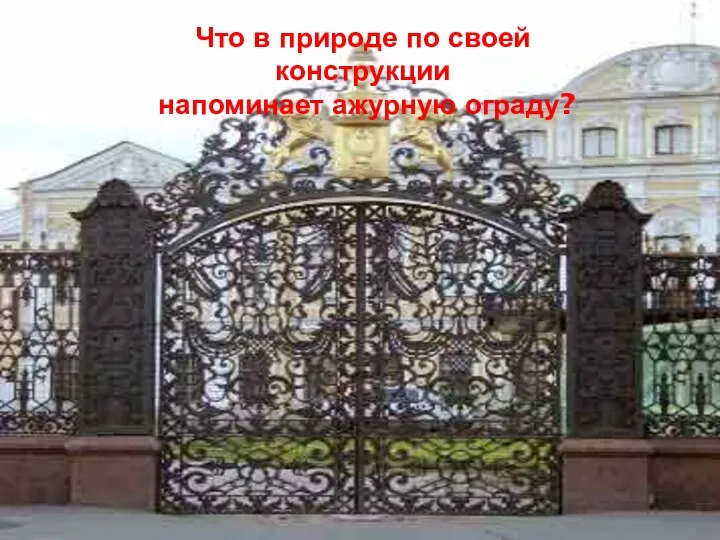 Что в природе по своей конструкции напоминает ажурную ограду?