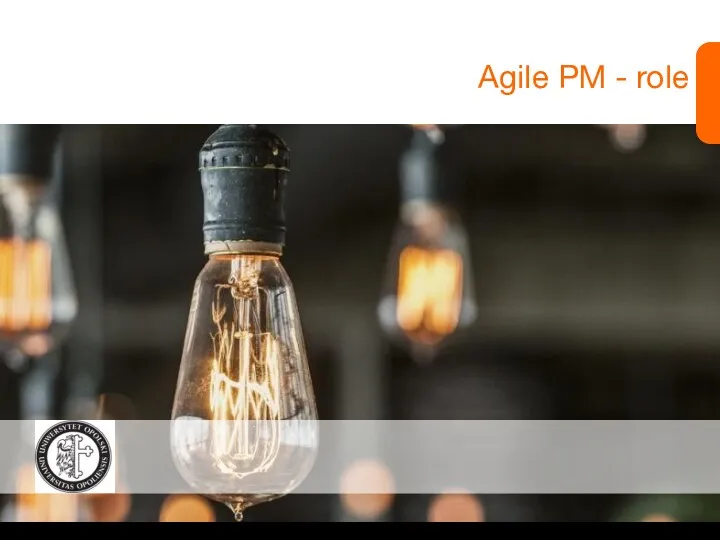 Agile PM - role