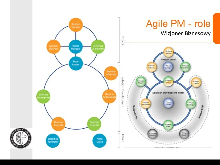 Agile PM - role Wizjoner Biznesowy