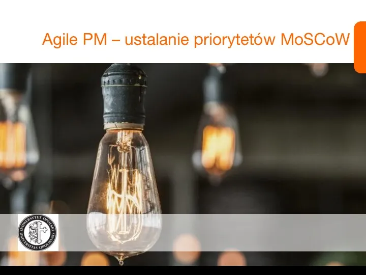 Agile PM – ustalanie priorytetów MoSCoW