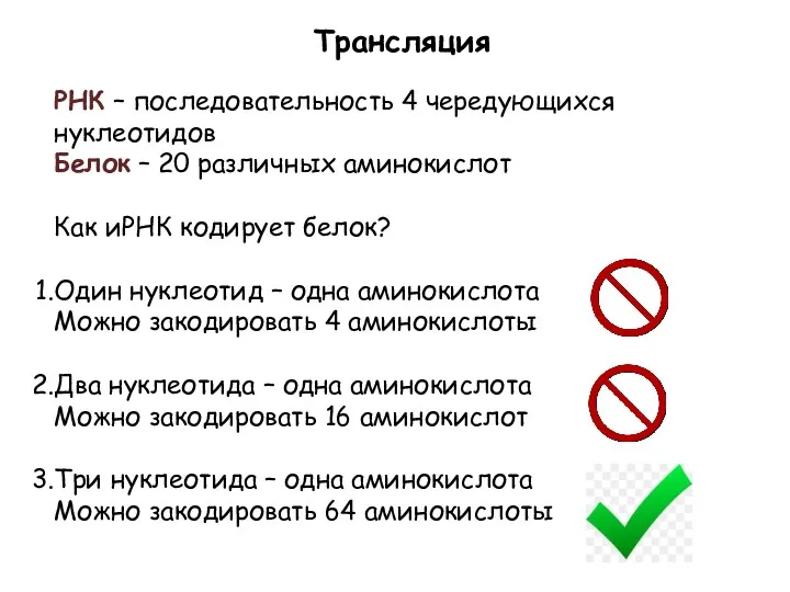 Трансляция РНК – последовательность 4 чередующихся нуклеотидов Белок – 20