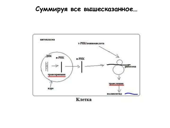 Суммируя все вышесказанное…