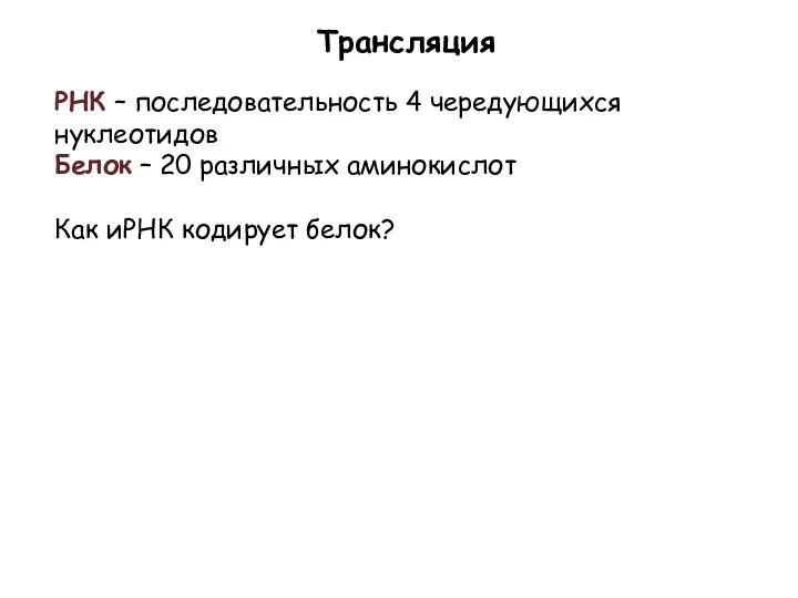 Трансляция РНК – последовательность 4 чередующихся нуклеотидов Белок – 20 различных аминокислот Как иРНК кодирует белок?