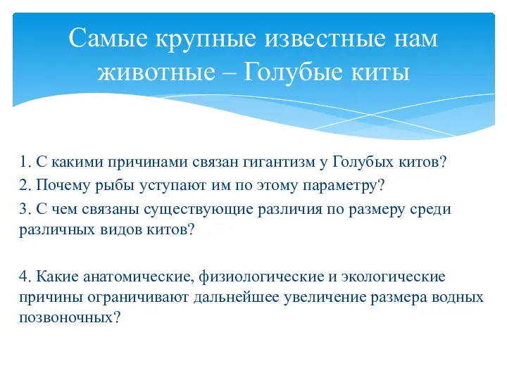 1. С какими причинами связан гигантизм у Голубых китов? 2.