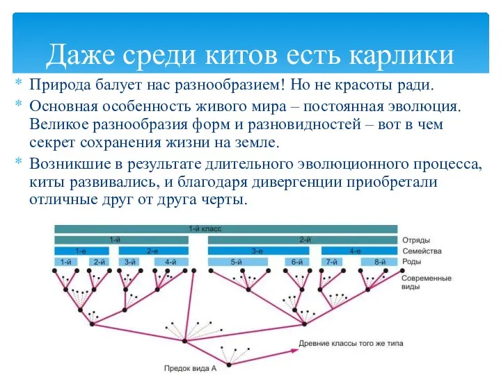 Природа балует нас разнообразием! Но не красоты ради. Основная особенность