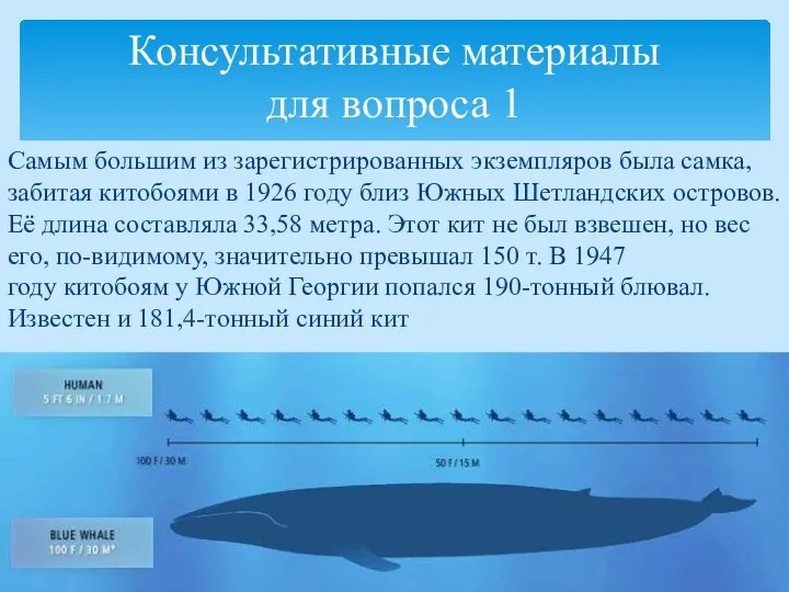 Консультативные материалы для вопроса 1 Самым большим из зарегистрированных экземпляров