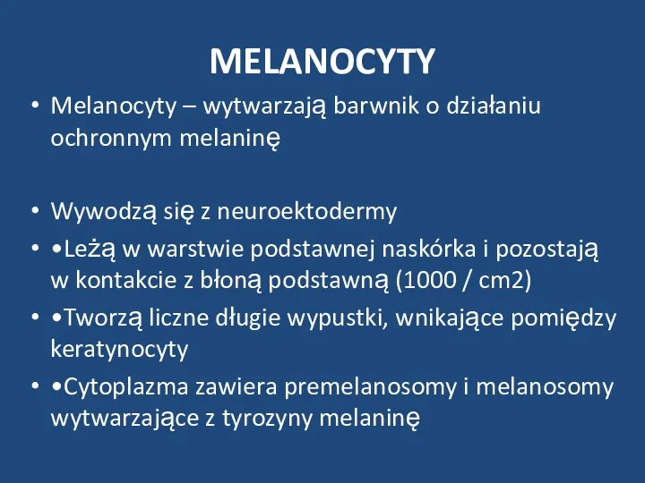 MELANOCYTY Melanocyty – wytwarzają barwnik o działaniu ochronnym melaninę Wywodzą się z neuroektodermy
