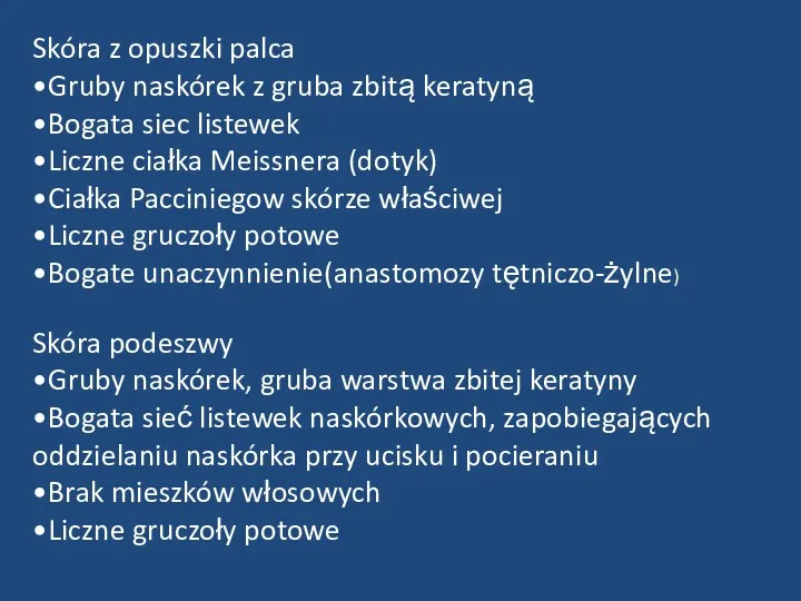 Skóra z opuszki palca •Gruby naskórek z gruba zbitą keratyną •Bogata siec listewek