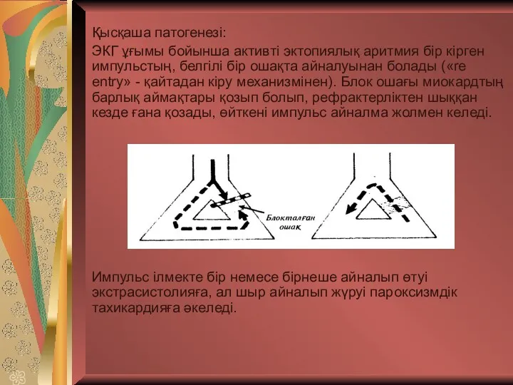 Қысқаша патогенезі: ЭКГ ұғымы бойынша активті эктопиялық аритмия бір кірген