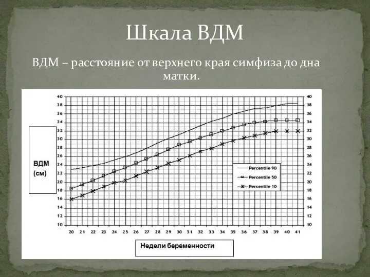 ВДМ – расстояние от верхнего края симфиза до дна матки. Шкала ВДМ