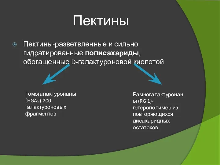 Пектины Пектины-разветвленные и сильно гидратированные полисахариды, обогащенные D-галактуроновой кислотой Гомогалактуронаны