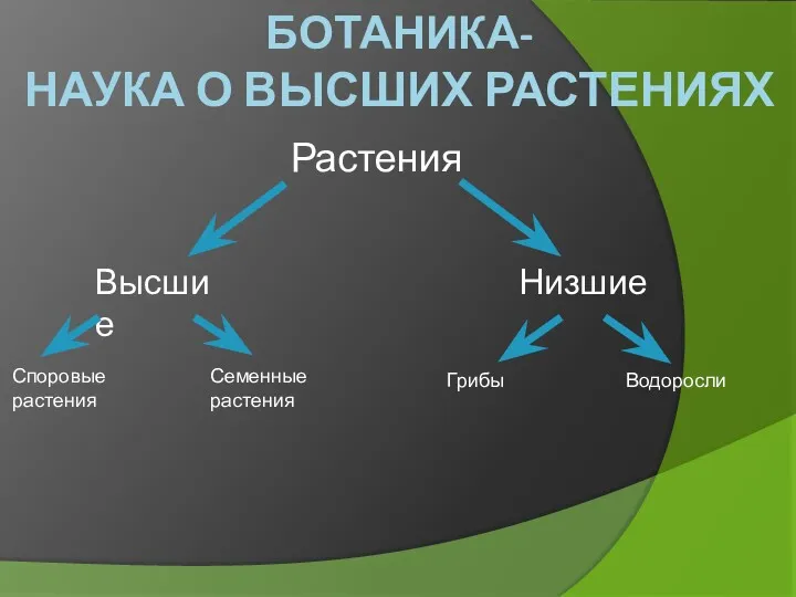 БОТАНИКА- НАУКА О ВЫСШИХ РАСТЕНИЯХ Растения Высшие Низшие Споровые растения Грибы Водоросли Семенные растения