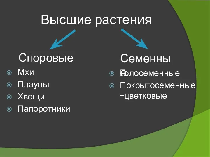 Высшие растения Споровые Семенные Мхи Плауны Хвощи Папоротники Голосеменные Покрытосеменные=цветковые