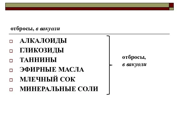 отбросы, в вакуоли АЛКАЛОИДЫ ГЛИКОЗИДЫ ТАННИНЫ ЭФИРНЫЕ МАСЛА МЛЕЧНЫЙ СОК МИНЕРАЛЬНЫЕ СОЛИ отбросы, в вакуоли