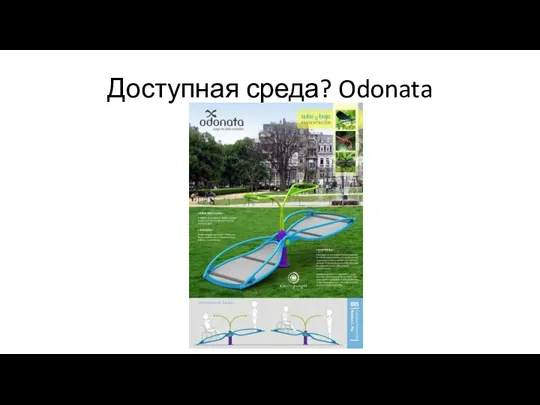 Доступная среда? Odonata