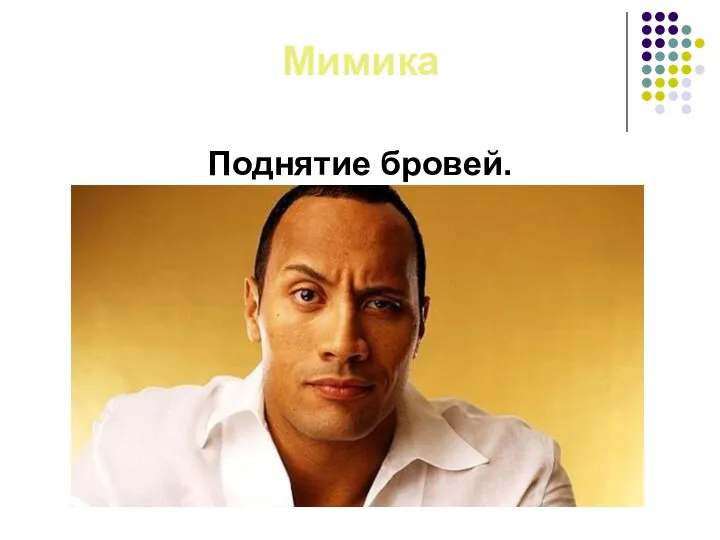 Мимика Поднятие бровей.