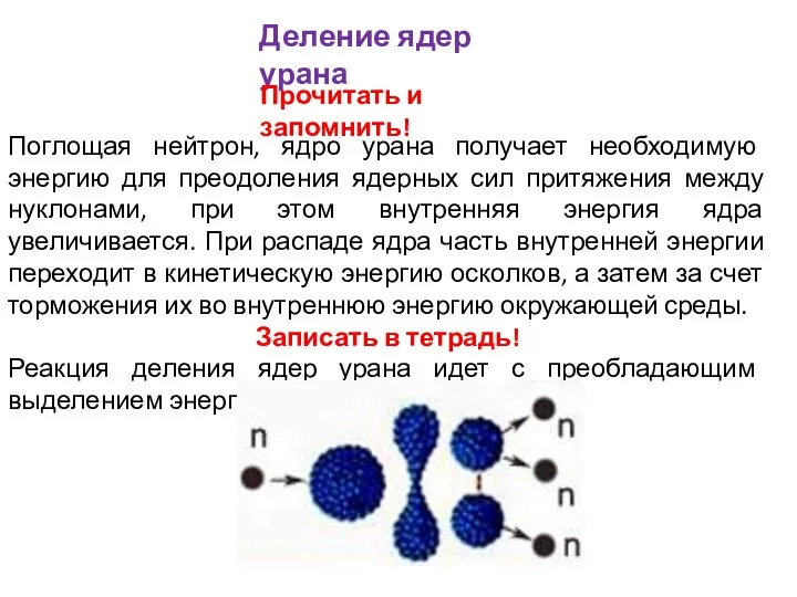 Поглощая нейтрон, ядро урана получает необходимую энергию для преодоления ядерных