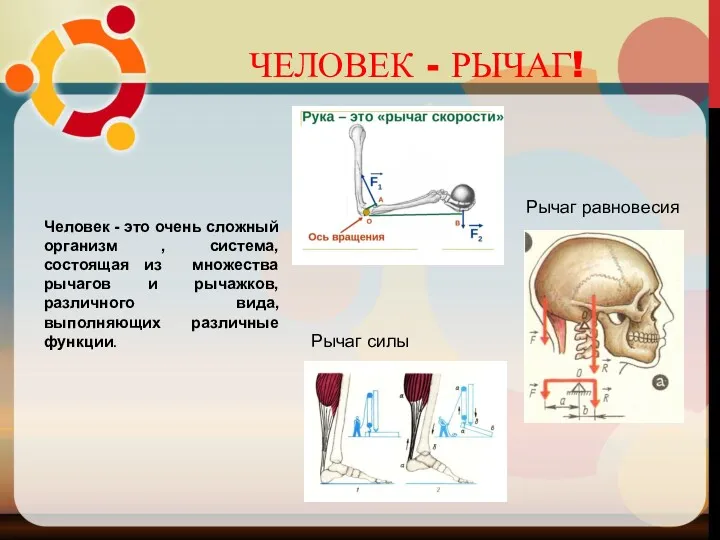 Человек - это очень сложный организм , система, состоящая из