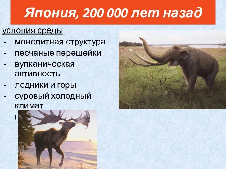 Япония, 200 000 лет назад условия среды монолитная структура песчаные