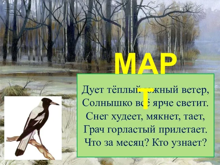 Дует тёплый южный ветер, Солнышко всё ярче светит. Снег худеет, мякнет, тает, Грач