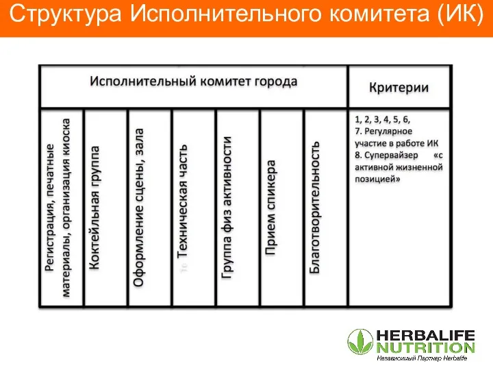 Структура Исполнительного комитета (ИК)