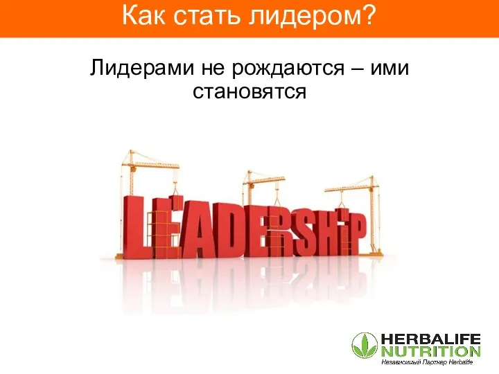 Лидерами не рождаются – ими становятся Как стать лидером?