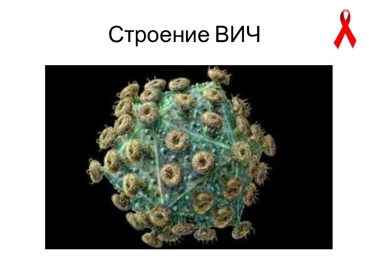 Строение ВИЧ