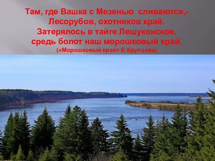 Там, где Вашка с Мезенью сливаются,- Лесорубов, охотников край. Затерялось