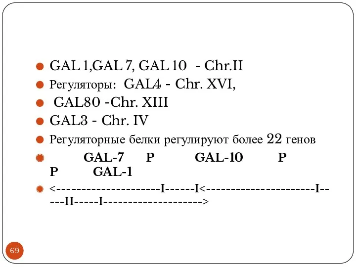 GAL 1,GAL 7, GAL 10 - Chr.II Регуляторы: GAL4 - Chr. XVI, GAL80