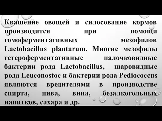 Квашение овощей и силосование кормов производится при помощи гомоферментативных мезофилов