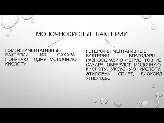 МОЛОЧНОКИСЛЫЕ БАКТЕРИИ ГОМОФЕРМЕНТАТИВНЫЕ БАКТЕРИИ ИЗ САХАРА ПОЛУЧАЮТ ОДНУ МОЛОЧНУЮ КИСЛОТУ