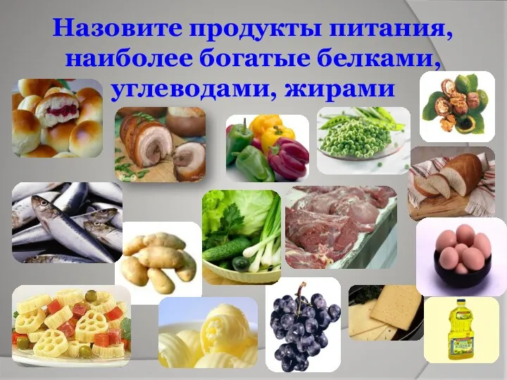 Назовите продукты питания, наиболее богатые белками, углеводами, жирами