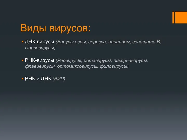 Виды вирусов: ДНК-вирусы (Вирусы оспы, герпеса, папиллом, гепатита В, Парвовирусы)