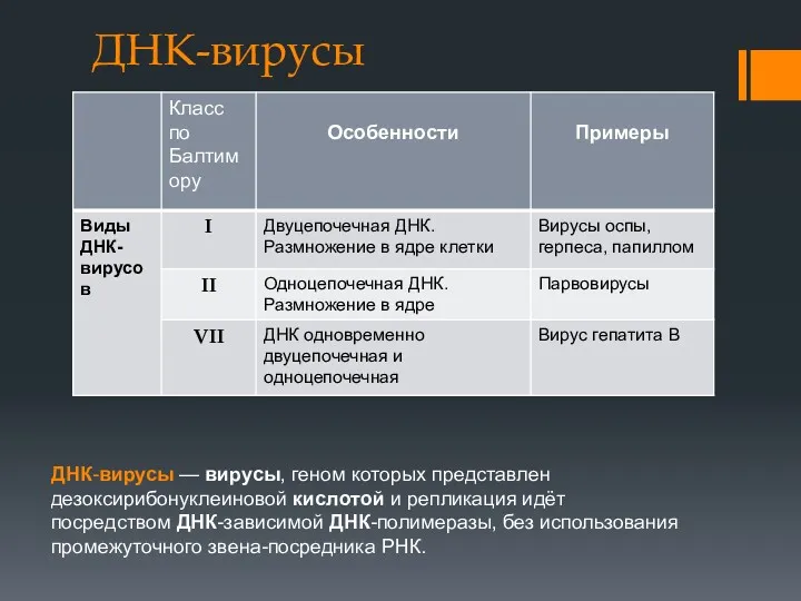 ДНК-вирусы ДНК-вирусы — вирусы, геном которых представлен дезоксирибонуклеиновой кислотой и