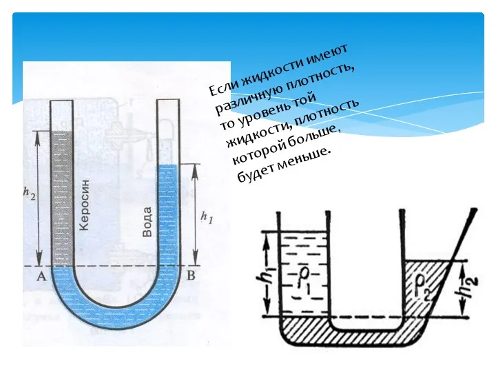 Если жидкости имеют различную плотность, то уровень той жидкости, плотность которой больше, будет меньше.