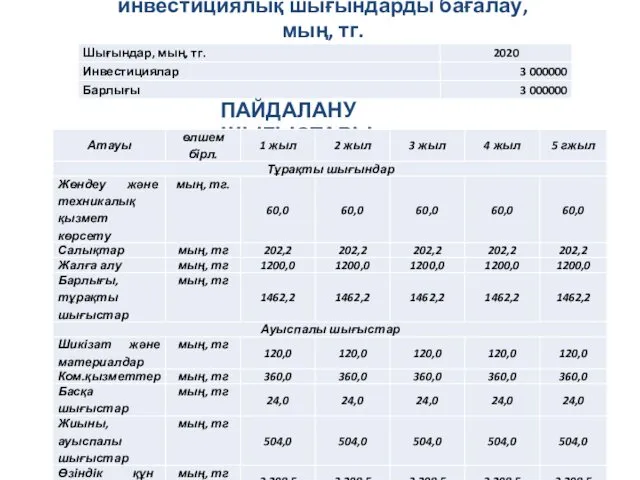 инвестициялық шығындарды бағалау, мың, тг. ПАЙДАЛАНУ ШЫҒЫСТАРЫ