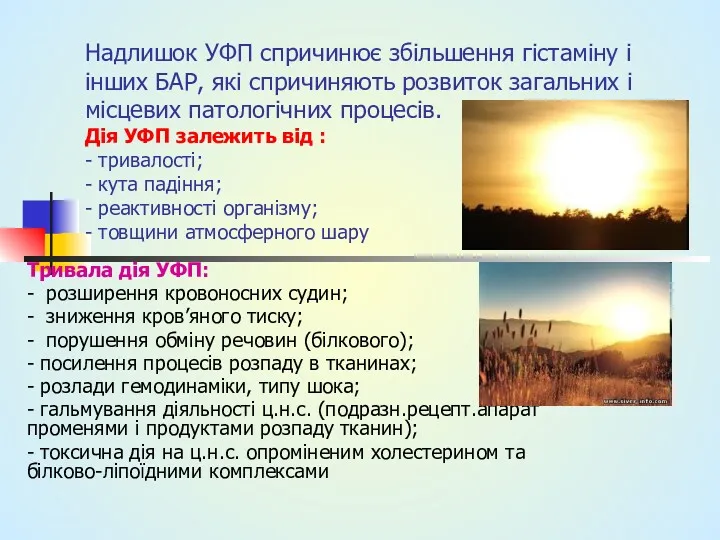 Надлишок УФП спричинює збільшення гістаміну і інших БАР, які спричиняють