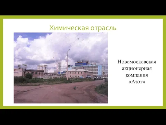 Химическая отрасль Новомосковская акционерная компания «Азот»
