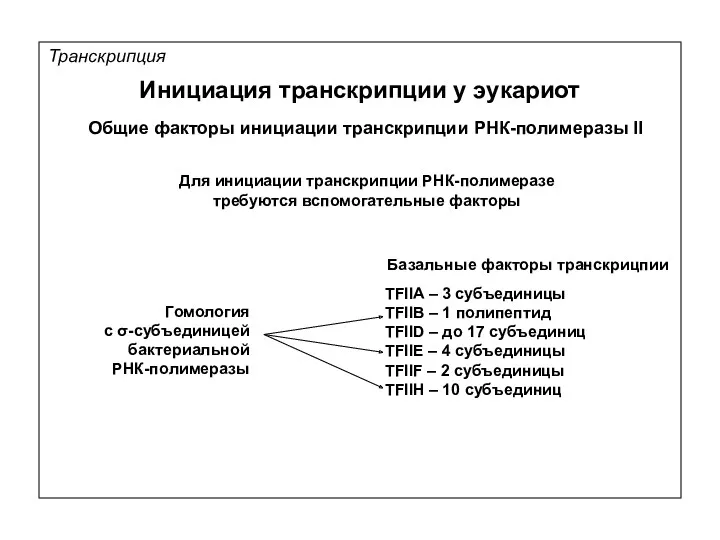 Транскрипция Инициация транскрипции у эукариот Общие факторы инициации транскрипции РНК-полимеразы