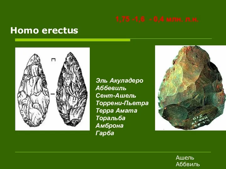 Homo erectus Эль Акуладеро Аббевиль Сент-Ашель Торрени-Пьетра Терра Амата Торальба Амброна Гарба 1,75