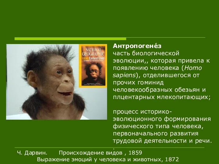 Антропогене́з часть биологической эволюции,, которая привела к появлению человека (Homo sapiens), отделившегося от