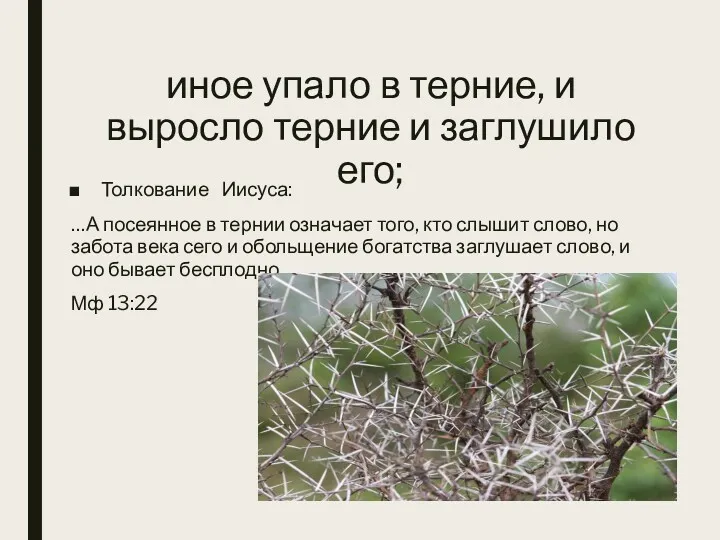 иное упало в терние, и выросло терние и заглушило его;