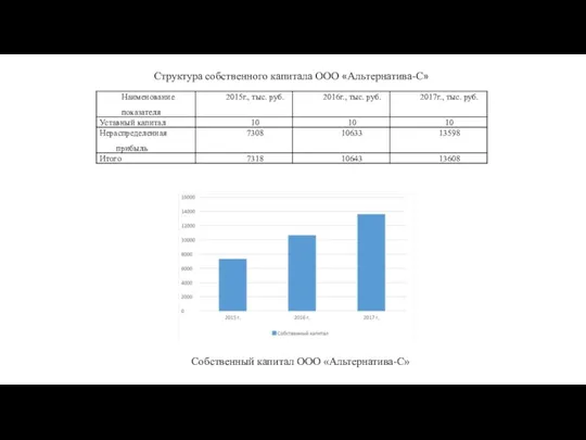 Структура собственного капитала ООО «Альтернатива-С» Собственный капитал ООО «Альтернатива-С»