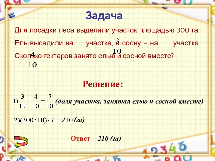 Для посадки леса выделили участок площадью 300 га. Ель высадили