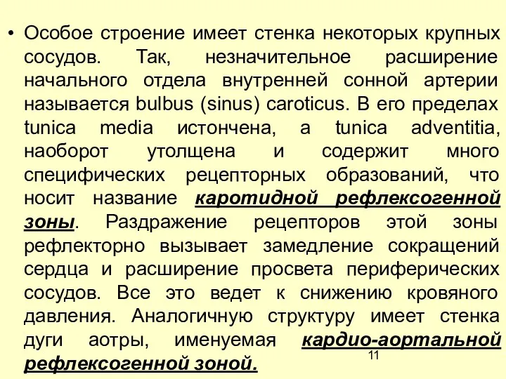 Особое строение имеет стенка некоторых крупных сосудов. Так, незначительное расширение