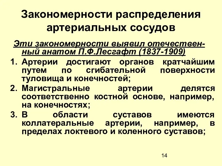 Закономерности распределения артериальных сосудов Эти закономерности выявил отечествен-ный анатом П.Ф.Лесгафт