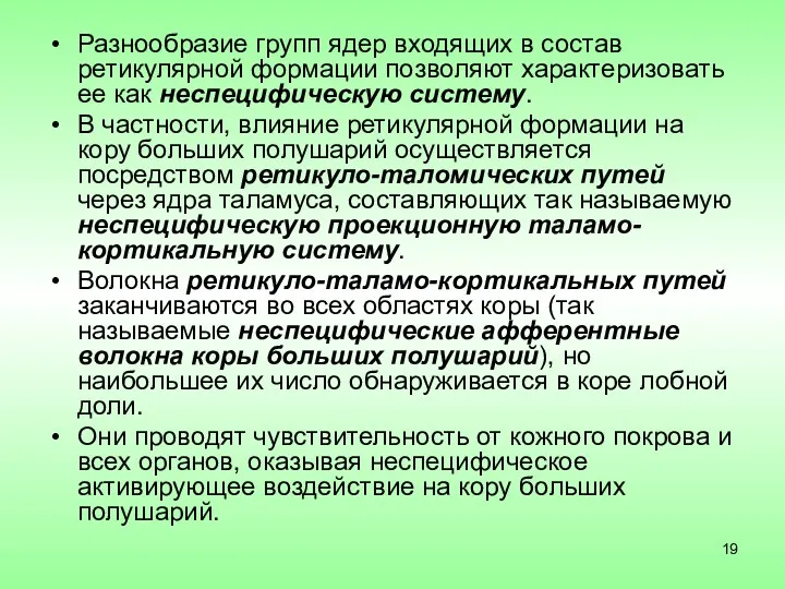 Разнообразие групп ядер входящих в состав ретикулярной формации позволяют характеризовать